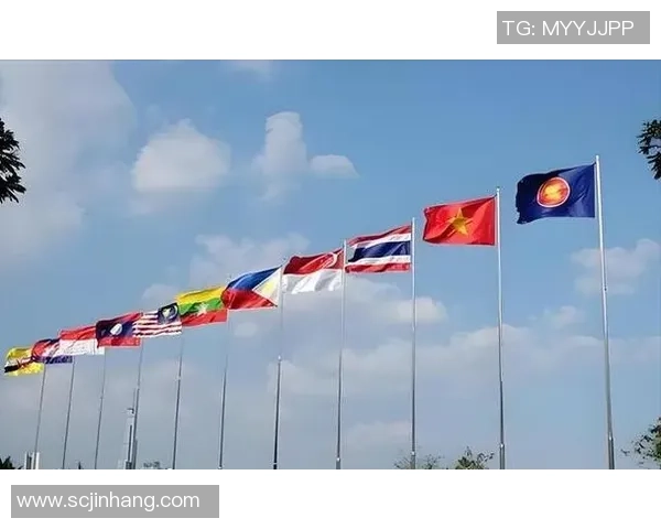 瑞士与日本实力对比谁更强大探讨两国的优势与特点